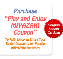 Play and Enjoy MIYAZAKI Coupon