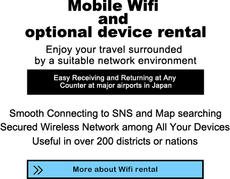 Mobile Wifi and optional device rental